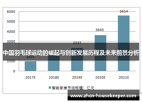 中国羽毛球运动的崛起与创新发展历程及未来前景分析