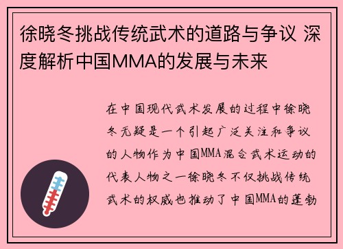 徐晓冬挑战传统武术的道路与争议 深度解析中国MMA的发展与未来